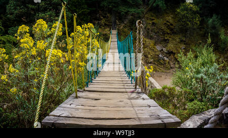 Randonnées colorées bridge dans les montagnes de l'Ajusco, Mexico Banque D'Images