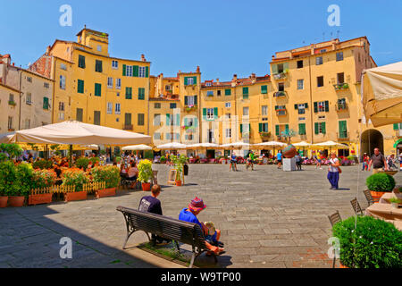 Place de la ville Amfiteatro, Lucca, Toscane, Italie. Banque D'Images
