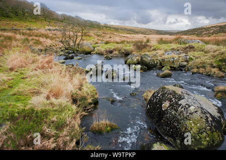 L'Occident comme Dart un petit ruisseau jusqu'à Dartmoor par Wistman's Wood : rochers et la lande Banque D'Images