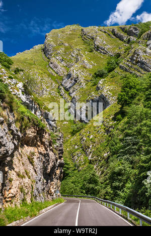 Desfiladero de Rio Ponga, canyon en Sierra Maranguero, Cordillera Cantabrica, près de San Juan de Beleño, Parc Naturel de Ponga, Asturias, Espagne Banque D'Images
