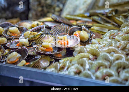 Gros plan de grosses coquilles de pétoncle crues sur la table du marché de la mer à Lima Banque D'Images