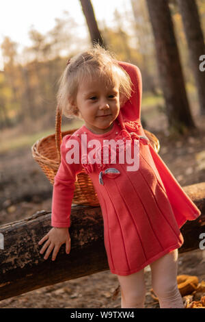 Petite fille dans la forêt avec un panier se dresse sur un magnifique lot de feuilles d'érable meilleures Banque D'Images