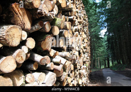 Logpile Mont Saint-Cyr Saône-et-Loire France Banque D'Images