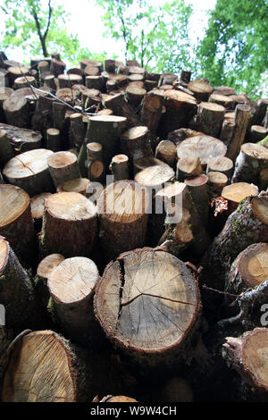 Logpile Mont Saint-Cyr Saône-et-Loire France Banque D'Images