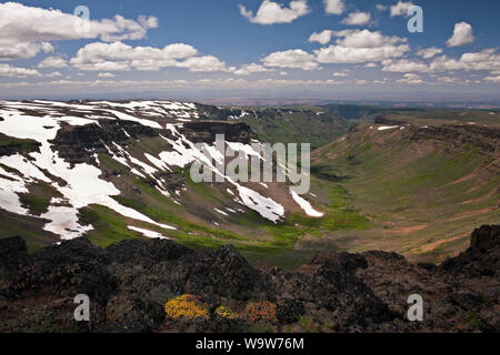 Plateau s'étend de la neige en juillet, donnant sur cette vue spectaculaire de Gorge Didier Frochot au sommet de l'Oregon SE Steens Mountain Wilderness. Banque D'Images