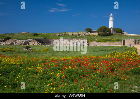 Phare de Paphos et Odeon de fleurs sauvages en premier plan, Parc archéologique de Kato Pafos, Chypre Banque D'Images