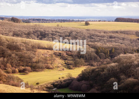 Bois et pâturages à moutons remplir la vallée de Ashcombe élevé dans le matériel roulant downland chalk hills de Cranborne Chase dans le Wiltshire. Banque D'Images