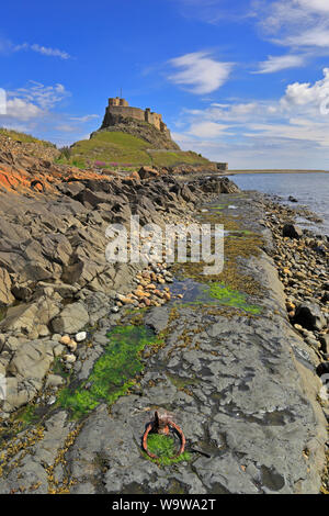 Château de Lindisfarne du rivage près de l'ancienne jetée, Île Sainte, Lindisfarne, Northumberland, Angleterre, ROYAUME-UNI. Banque D'Images