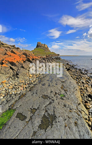 Château de Lindisfarne du rivage près de l'ancienne jetée, Île Sainte, Lindisfarne, Northumberland, Angleterre, ROYAUME-UNI. Banque D'Images