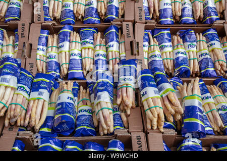 Boîtes avec des bouquets d'asperges sur l'affichage à l'extérieur du marché du samedi matin à Dieppe, Normandie, France. Banque D'Images