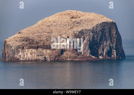 Le Bass Rock, vue de Château de Tantallon sur le littoral de Berwick Banque D'Images