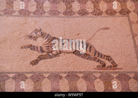 Tiger mosaïque de la Maison de Dionysos, Parc archéologique de Paphos, Kato Pafos, Chypre Banque D'Images