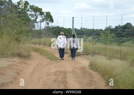 Une vieille femme italienne et un adulte femme indienne se promener le long de la clôture en Marloth park le long du parc Kruger Banque D'Images