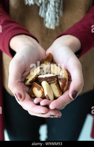 Close up de fille main peint avec ongles tenant les noix du Brésil (Bertholletia excelsa) sur fond blanc. Les noix du Brésil sont très nutritifs et délicieux Banque D'Images