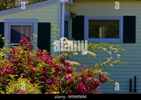 Un jardin dans la cour d'une maison de style Nouvelle Angleterre dans SITESTONINGTON un important port de pêche du homard et destination touristique - DEER ISLAND, MAINE Banque D'Images