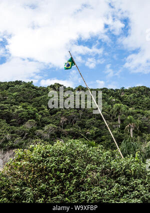 Drapeau brésilien en hauteur sur un mât en bois à côté de la luxuriante forêt de Florianopolis, Brésil Banque D'Images