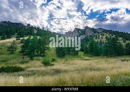 Scène Sunny mountain meadow été chaud Banque D'Images