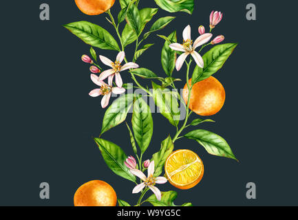 Branches des fruits orange. Vertical transparent border avec fleurs floral botanique réaliste illustration sur fond bleu foncé peint main Banque D'Images