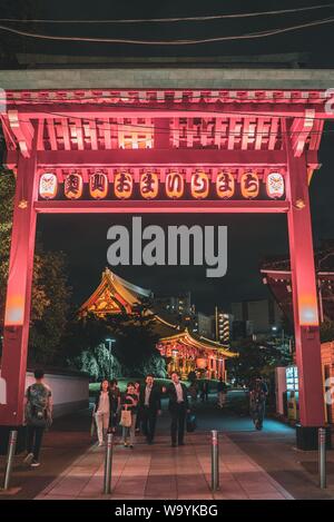 Photo verticale de personnes marchant sous un sanctuaire rose de Shinto à Tokyo, au Japon, la nuit Banque D'Images