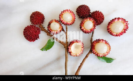 Mise à plat d'pulasan fruits, feuilles et branches arrangées dans un bouquet de fleurs. Pulasan rouge est un fruit tropical d'Asie du sud-est. Banque D'Images