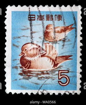 Canard Mandarin, Aix galericulata, timbre-poste, Japon, 1961 Banque D'Images