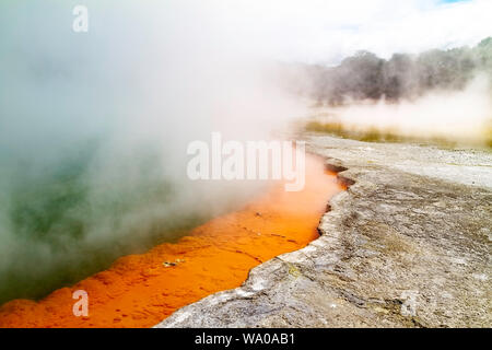 Un mur de brouillard s'élève de la célèbre piscine à Rotorua, Banque D'Images