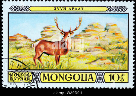 Red Deer (Cervus elaphus, timbre-poste, Mongolie, 1974 Banque D'Images