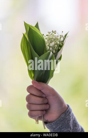 Petit Bouquet de lis de la vallée des fleurs sur un arrière-plan flou Banque D'Images