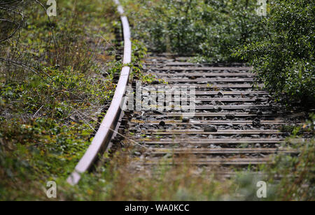 Volkach, Allemagne. Août 16, 2019. Lit la piste de la ligne de chemin de fer mises hors service Schweinfurt-Kitzingen est partiellement couvert. Credit : Karl-Josef Opim/dpa/Alamy Live News Banque D'Images