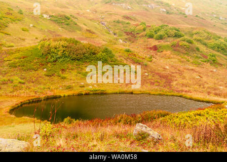 Petit lac de montagne à l'eau claire dans une vallée de montagne avec de l'herbe d'automne Banque D'Images