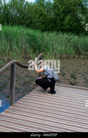 Knokke-Heist, Belgique, 29 juillet 2019 réserve naturelle de 159 hectares de dunes, les touristes à la recherche d'insectes dans une piscine à Banque D'Images