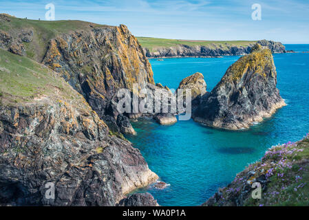 Paysage côtier spectaculaire à Kynance Cove sur la péninsule du Lézard dans le sud de Cornwall, Angleterre, Royaume-Uni. Banque D'Images