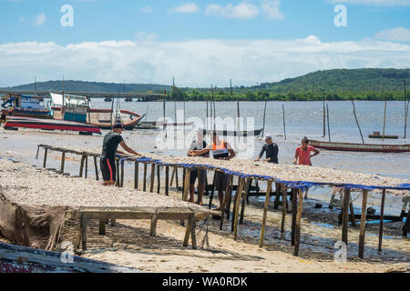 Itapissuma, Brésil - Circa 2019 Juillet : les pêcheurs de mettre de petits poissons répartis sur une table près de la rive pour sécher au soleil Banque D'Images