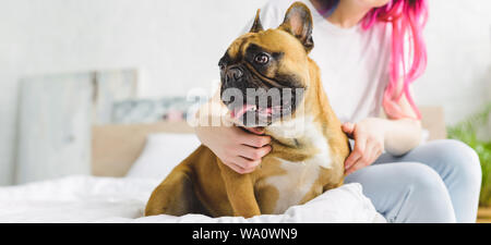 Vue panoramique shot of woman sitting on bed avec mignon bouledogue français à la maison Banque D'Images