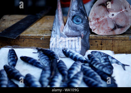 Matin de captures de différents types de poissons sur le marché contre Banque D'Images