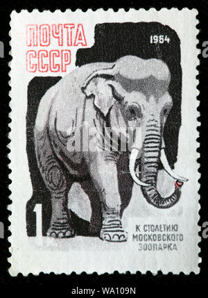 L'éléphant d'Asie, Elephas maximus, le Zoo de Moscou centenaire, timbre-poste, Russie, URSS, 1964 Banque D'Images