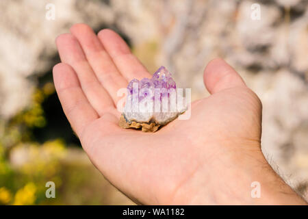 De druses sans traitement naturel des cristaux violet améthyste sur un morceau de rock se trouve sur la paume de votre main Banque D'Images