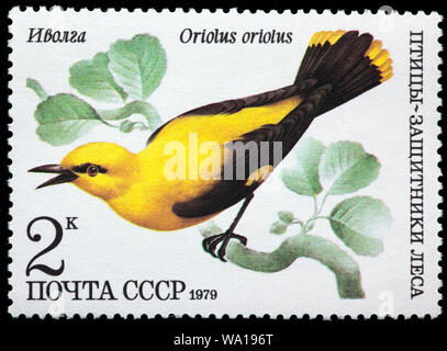 Oriolus oriolus Golden Oriole, forêt, oiseau, timbre-poste, Russie, URSS, 1979 Banque D'Images