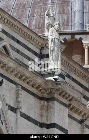Il Duomo di Siena ou la cathédrale de Sienne, Italie. Il Duomo di Siena ou la cathédrale de Sienne, Italie. Le bâtiment date du milieu du 14e siècle, lorsque l'accumulation Banque D'Images