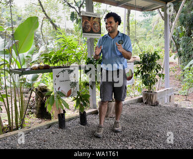 Guide de chocolat présentation donnant, Costa Rica Banque D'Images
