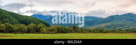 Panorama rural dans les montagnes à l'aube. Les champs agricoles au début de l'automne. couvert pluie. campagne des Carpates traditionnels Banque D'Images