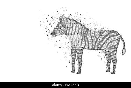 Basse design poly Zebra animal d'Afrique, de l'image géométrique abstraite, zoo d'illustration vectorielle polygonal mesh wireframe faites de points et de lignes sur blanc b Illustration de Vecteur