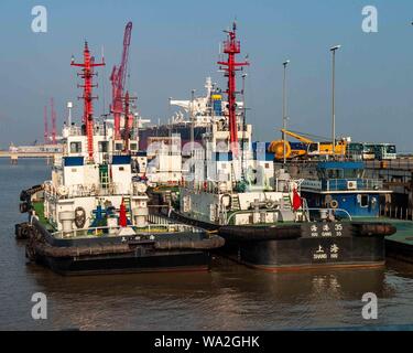 Shanghai, Chine. 30Th Oct, 2006. Plusieurs remorqueurs amarrés dans le port de Shanghai. Credit : Arnold Drapkin/ZUMA/Alamy Fil Live News Banque D'Images