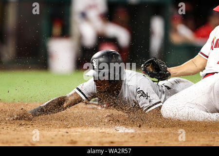 Anaheim, Californie, USA. Août 16, 2019. 16 août 2019 : l'arrêt-court des Chicago White Sox Tim Anderson (7) coulisse dans le marbre lors d'une balle passée comme lanceur partant Los Angeles Angels Patrick Sandoval (43) tente d'attraper le ballon et appliquer le tag dans le jeu entre les White Sox de Chicago et Los Angeles Angels of Anaheim au Angel Stadium à Anaheim, CA, (photo de Peter Renner and Co, Cal Sport Media) Credit : Cal Sport Media/Alamy Live News Banque D'Images