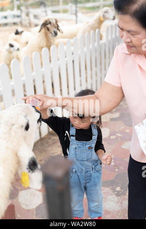 Grand-mère asiatique est de prendre soin de votre cute girl du lait pour nourrir les moutons de la ferme, activités famille à améliorer l'expérience d'apprentissage des enfants. Banque D'Images