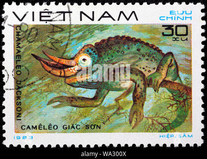 Chamaeleo jacksonii, Trioceros jacksonii,,, Jackson's Chameleon, Trois-horned Chameleon, timbre-poste, Vietnam, 1983 Banque D'Images