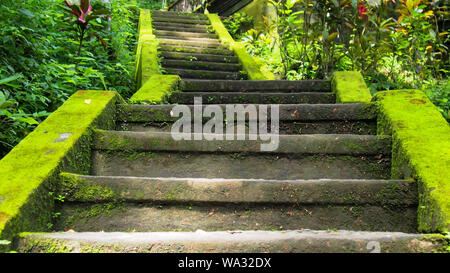 Route avec escaliers en pierre près de temple à Bali, Indonésie. Paysage d'été avec sentier et route forestière tropicale avec escaliers en pierre près de temple à Bali, Banque D'Images