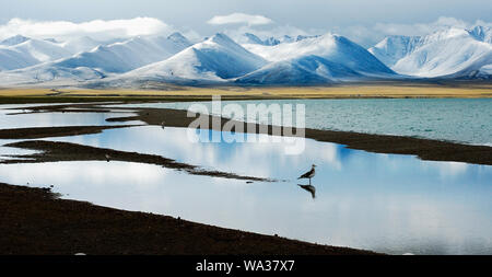 Lac Namtso cuo scenery Banque D'Images