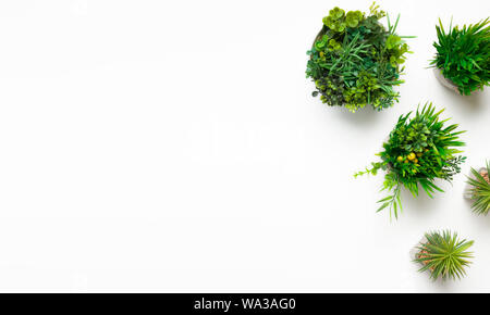 Plantes artificielles dans différents casiers sur fond blanc Banque D'Images