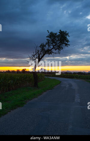 Sur la route vide entre les champs avant la récolte à sunter spectaculaire. Sur l'horizon silhouette de Château Hazmburk, République Tchèque Banque D'Images